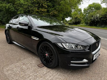 JAGUAR